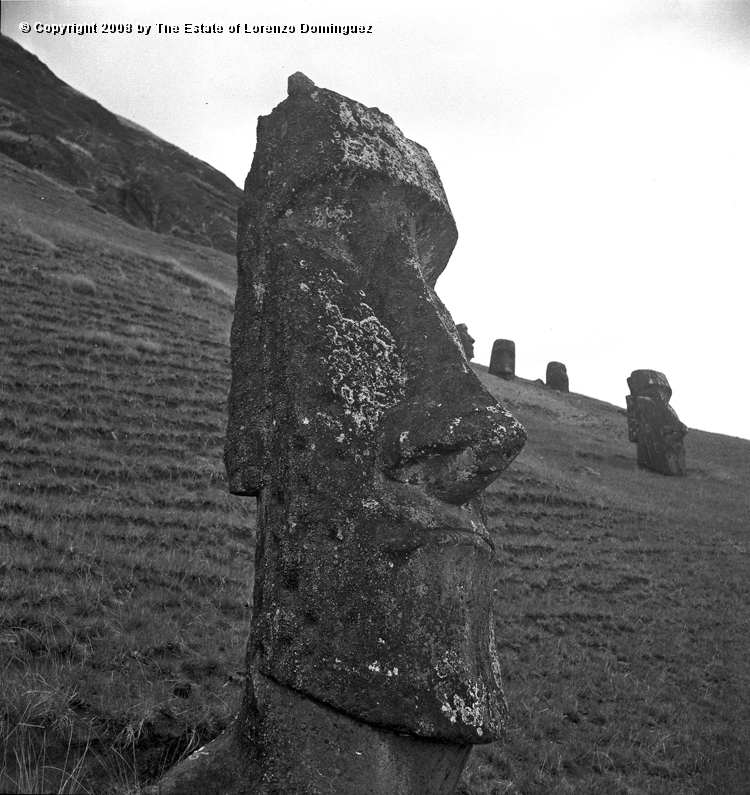 RRE_Angel_02.jpg - Easter Island. 1960. Moai on the exterior slope of Rano Raraku. Identified by Lorenzo Dominguez as "The Angel."
